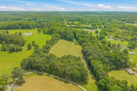 Tiny photo for 3451 Highway 39, Athens, TN 37303 (MLS # 1347817)
