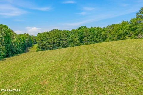 Tiny photo for 3451 Highway 39, Athens, TN 37303 (MLS # 1347817)