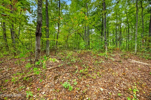 Tiny photo for 22 Colepin Lane, Celina, TN 38551 (MLS # 1359380)