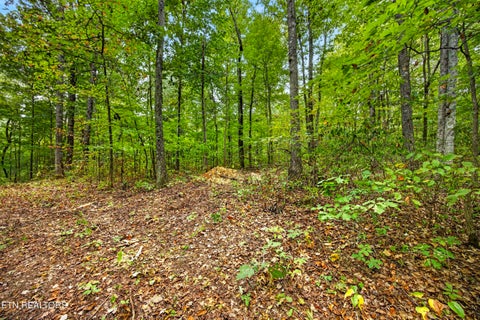 Tiny photo for 22 Colepin Lane, Celina, TN 38551 (MLS # 1359380)