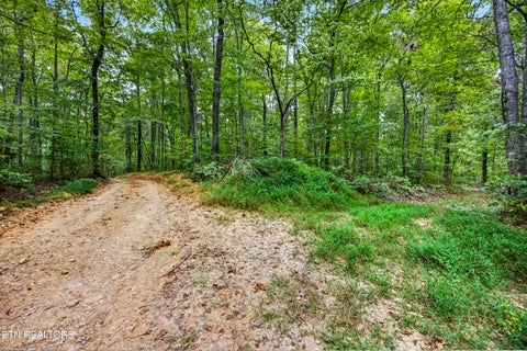 Tiny photo for 22 Colepin Lane, Celina, TN 38551 (MLS # 1359380)