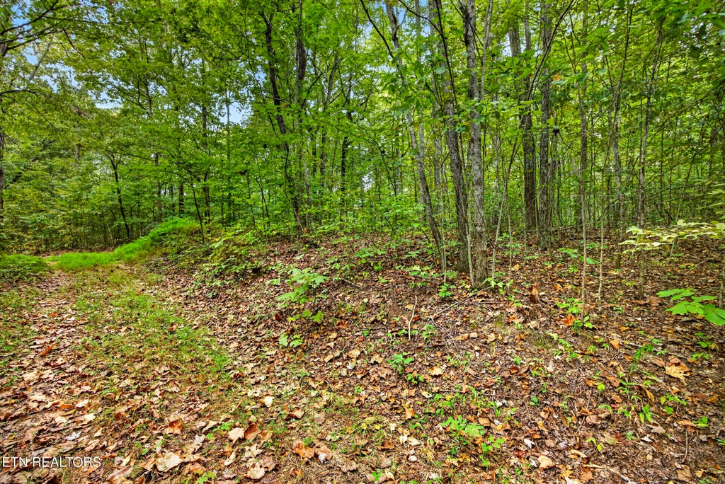 Photo of 22 Colepin Lane, Celina, TN 38551 (MLS # 1359380)