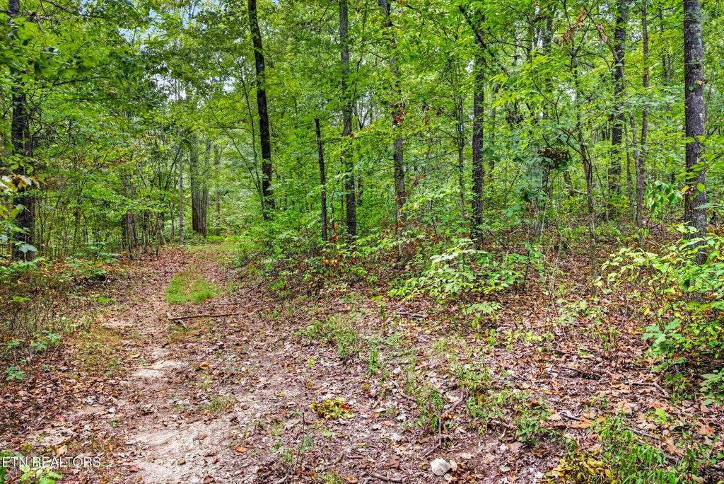 Photo of 22 Colepin Lane, Celina, TN 38551 (MLS # 1359380)