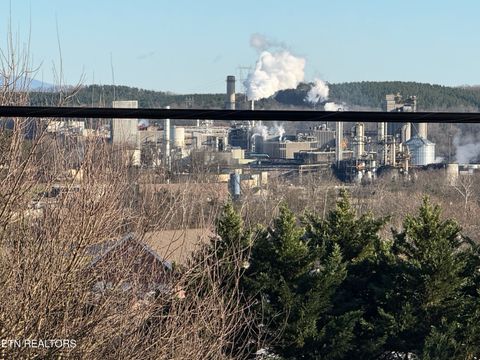 Tiny photo for 400 Collins St, Loudon, TN 37774 (MLS # 1326229)