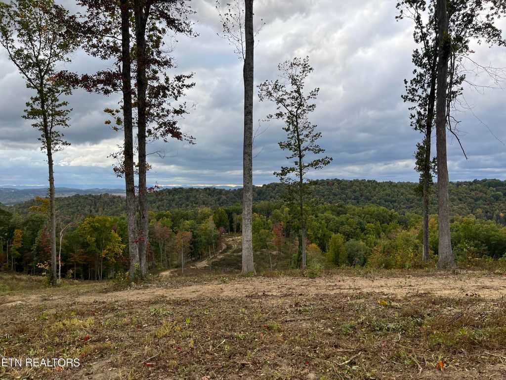 Photo of Little Sycamore Rd, Tazewell, TN 37879 (MLS # 1242970)