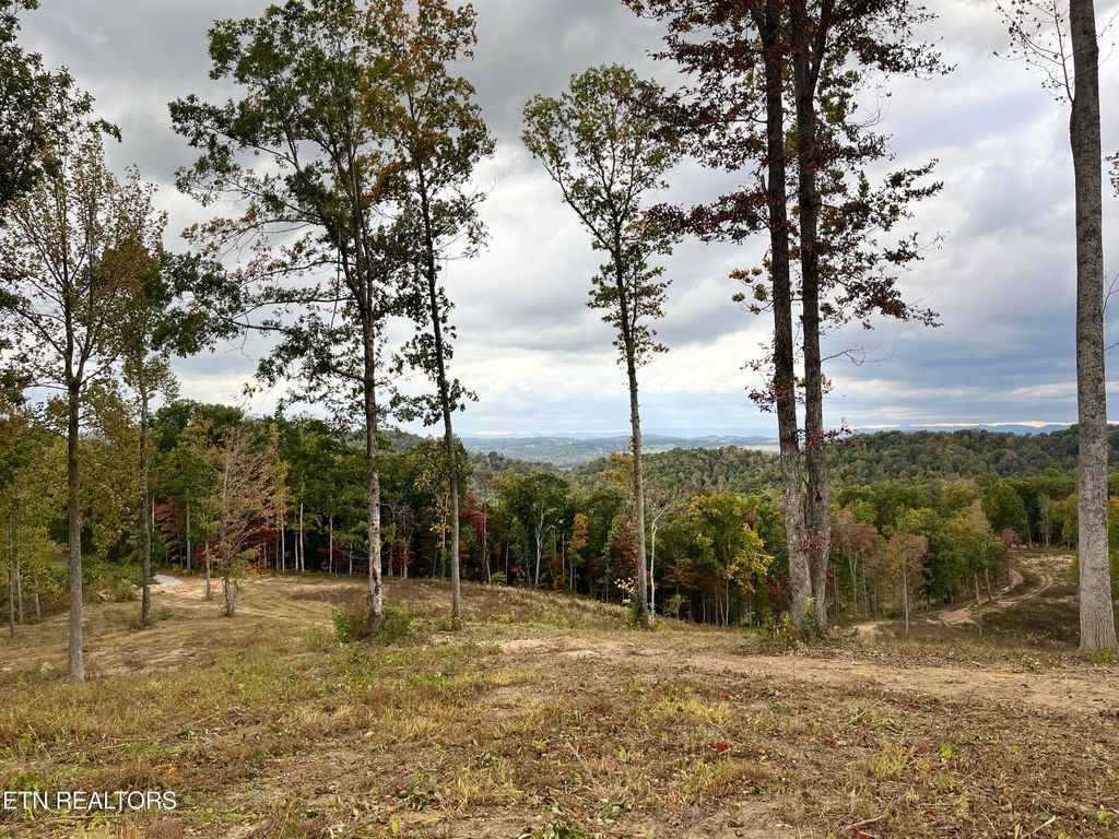 Photo of Little Sycamore Rd, Tazewell, TN 37879 (MLS # 1242970)