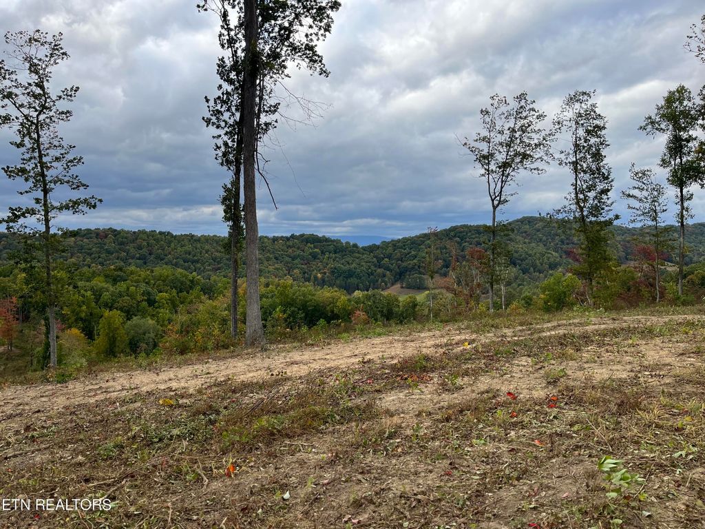 Photo of Little Sycamore Rd, Tazewell, TN 37879 (MLS # 1242970)