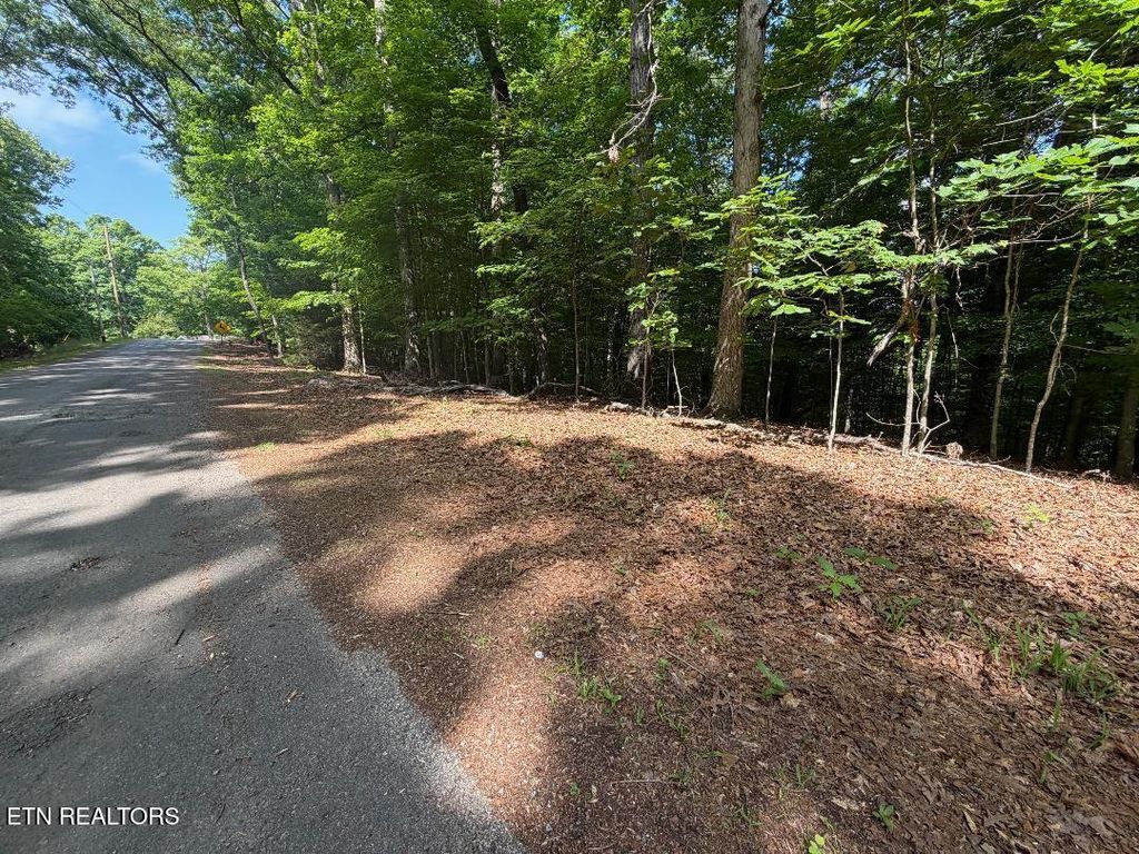 Photo of Beechwood Drive #002, Dandridge, TN 37725 (MLS # 1341714)