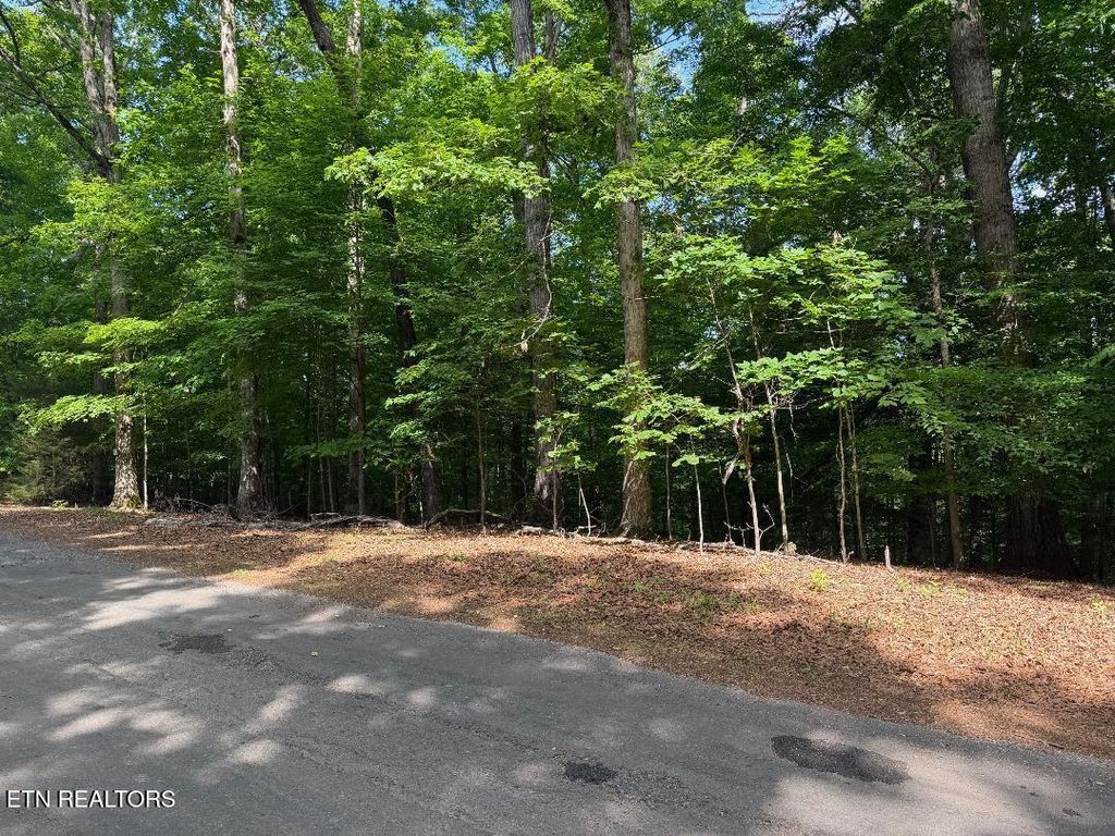 Photo of Beechwood Drive #002, Dandridge, TN 37725 (MLS # 1341714)