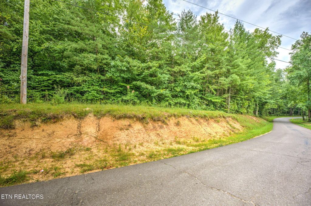 Photo of 29.82 Acres French Hamby Rd, Wartburg, TN 37887 (MLS # 1251645)