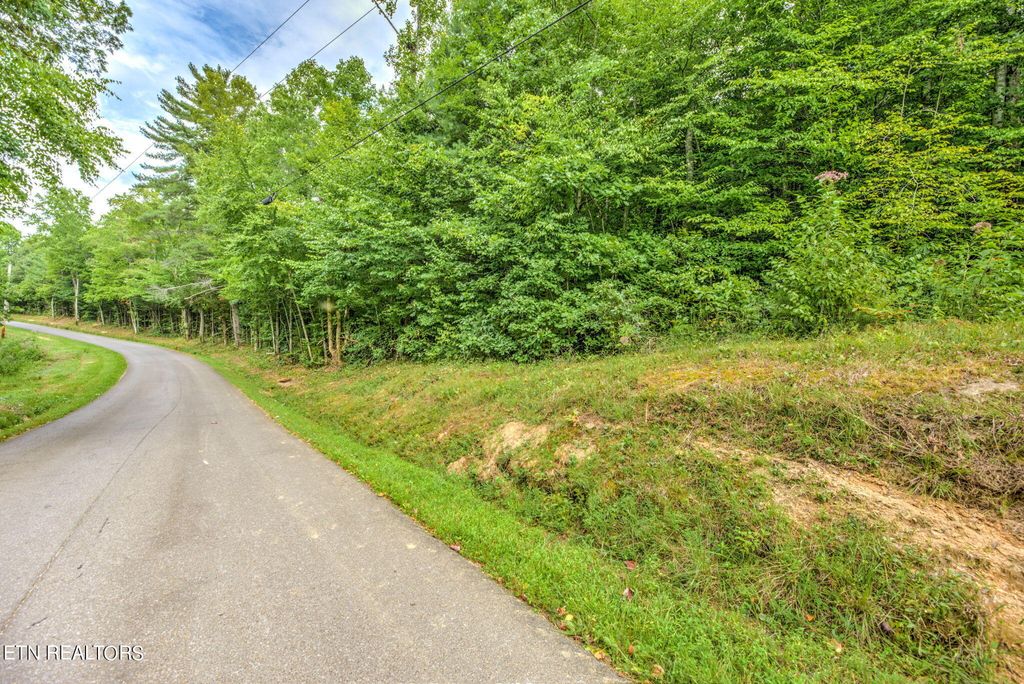 Photo of 29.82 Acres French Hamby Rd, Wartburg, TN 37887 (MLS # 1251645)