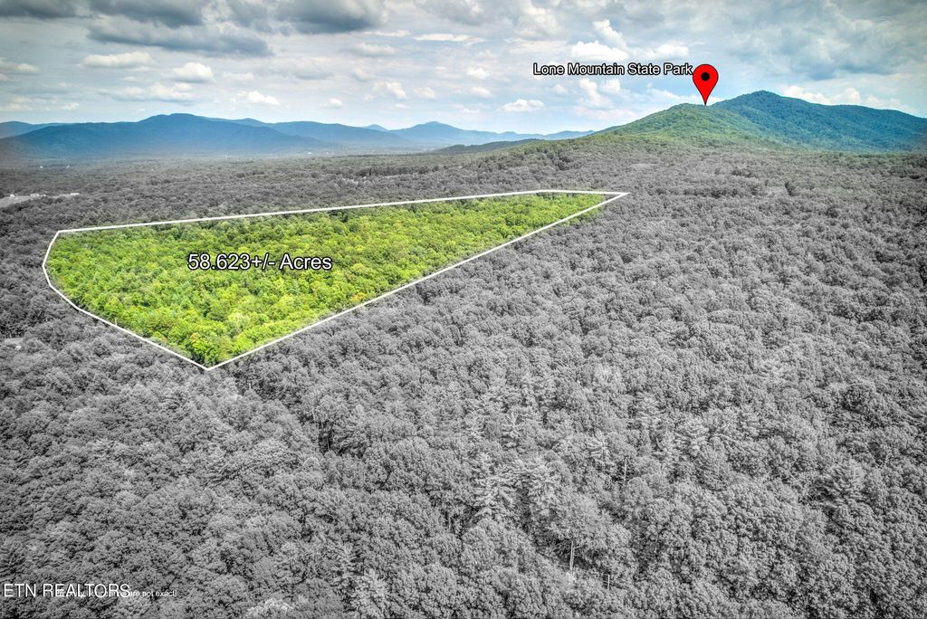 Photo of 29.82 Acres French Hamby Rd, Wartburg, TN 37887 (MLS # 1251645)