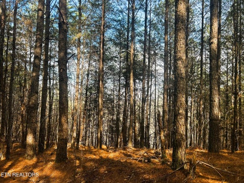 Tiny photo for 6 SW Owl Hollow, McDonald, TN 37353 (MLS # 1359526)