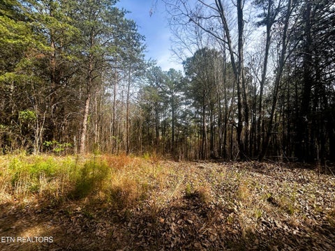 Tiny photo for 6 SW Owl Hollow, McDonald, TN 37353 (MLS # 1359526)