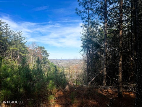 Tiny photo for 6 SW Owl Hollow, McDonald, TN 37353 (MLS # 1359526)