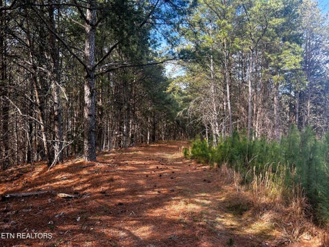 Tiny photo for 6 SW Owl Hollow, McDonald, TN 37353 (MLS # 1359526)
