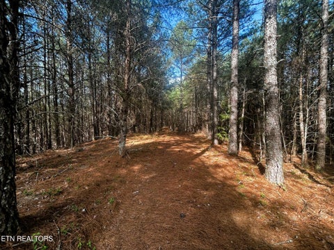 Tiny photo for 6 SW Owl Hollow, McDonald, TN 37353 (MLS # 1359526)