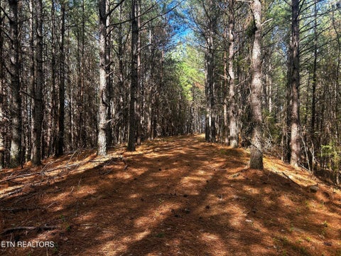 Tiny photo for 6 SW Owl Hollow, McDonald, TN 37353 (MLS # 1359526)