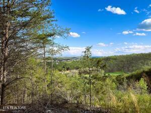 Photo of 6 SW Owl Hollow, McDonald, TN 37353 (MLS # 1359526)