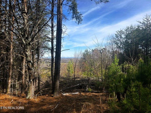 Tiny photo for 6 SW Owl Hollow, McDonald, TN 37353 (MLS # 1359526)