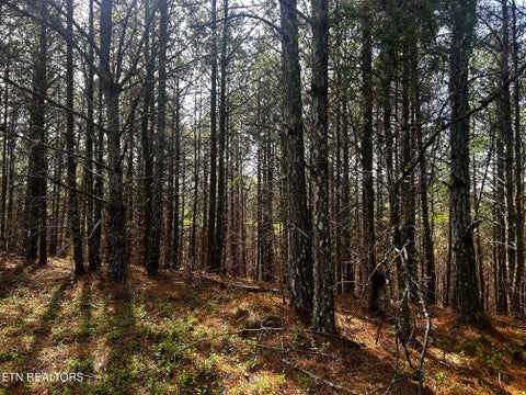 Tiny photo for 6 SW Owl Hollow, McDonald, TN 37353 (MLS # 1359526)