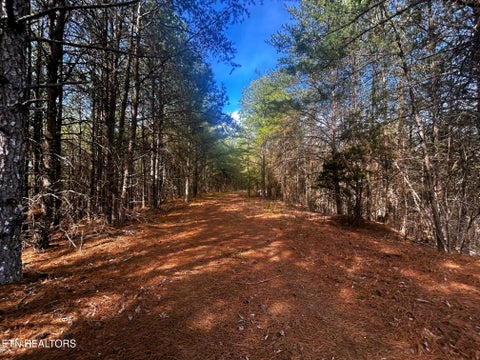 Tiny photo for 6 SW Owl Hollow, McDonald, TN 37353 (MLS # 1359526)