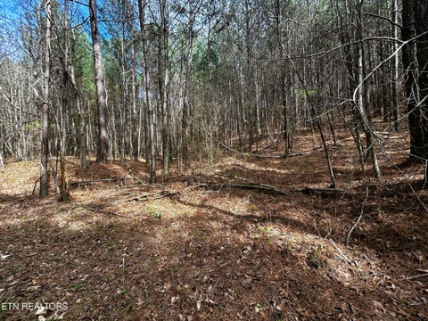 Tiny photo for 6 SW Owl Hollow, McDonald, TN 37353 (MLS # 1359526)