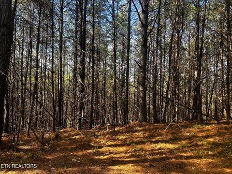 Tiny photo for 6 SW Owl Hollow, McDonald, TN 37353 (MLS # 1359526)