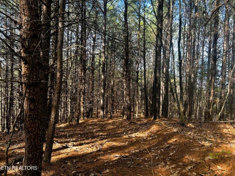 Tiny photo for 6 SW Owl Hollow, McDonald, TN 37353 (MLS # 1359526)