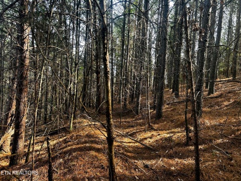Tiny photo for 6 SW Owl Hollow, McDonald, TN 37353 (MLS # 1359526)