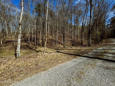 Tiny photo for 6 SW Owl Hollow, McDonald, TN 37353 (MLS # 1359526)