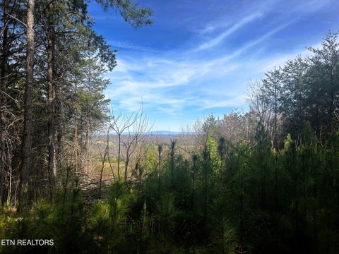 Tiny photo for 6 SW Owl Hollow, McDonald, TN 37353 (MLS # 1359526)