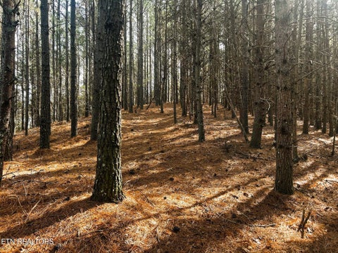 Tiny photo for 6 SW Owl Hollow, McDonald, TN 37353 (MLS # 1359526)