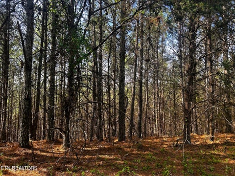 Tiny photo for 6 SW Owl Hollow, McDonald, TN 37353 (MLS # 1359526)