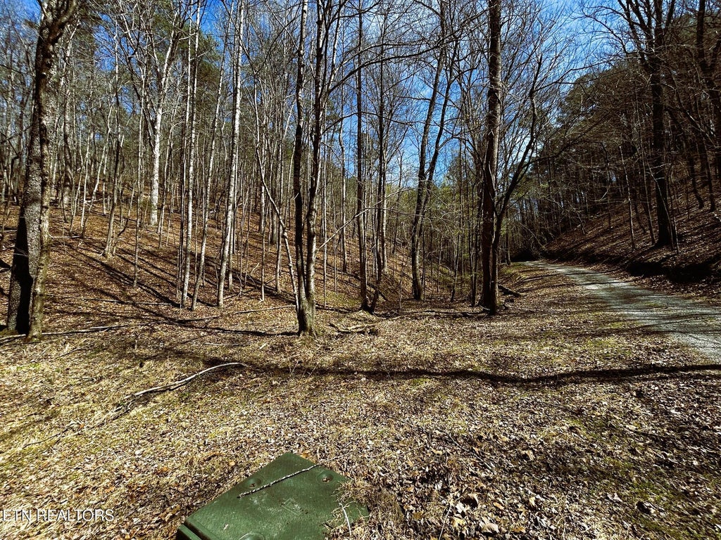 Photo of 6 SW Owl Hollow, McDonald, TN 37353 (MLS # 1359526)
