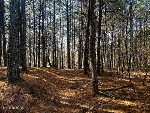 Tiny photo for 6 SW Owl Hollow, McDonald, TN 37353 (MLS # 1359526)