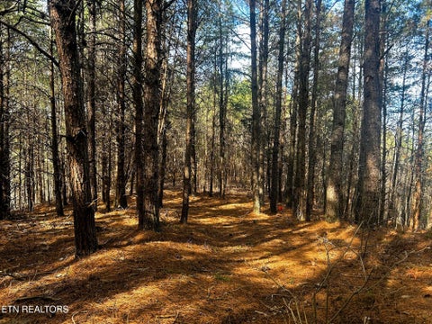 Tiny photo for 6 SW Owl Hollow, McDonald, TN 37353 (MLS # 1359526)