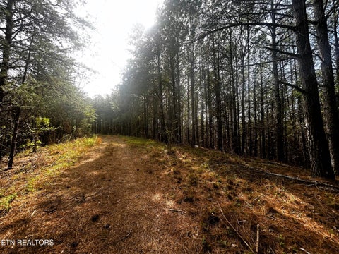 Tiny photo for 6 SW Owl Hollow, McDonald, TN 37353 (MLS # 1359526)