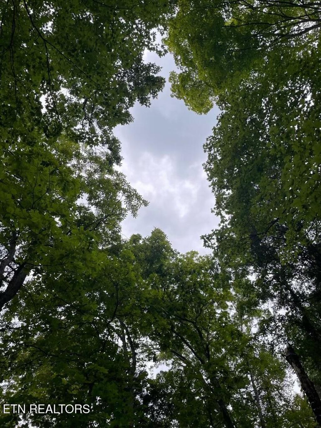 Photo of 784 Russell Brothers Rd, Sharps Chapel, TN 37866 (MLS # 1342293)