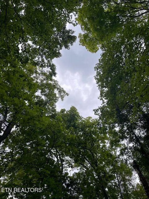 Tiny photo for 784 Russell Brothers Rd, Sharps Chapel, TN 37866 (MLS # 1342293)