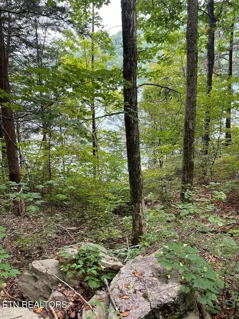 Tiny photo for 784 Russell Brothers Rd, Sharps Chapel, TN 37866 (MLS # 1342293)