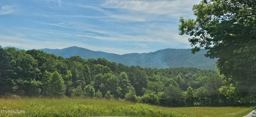 Photo of 0 Coker Creek Trail Lane, Coker Creek, TN 37314 (MLS # 1343657)