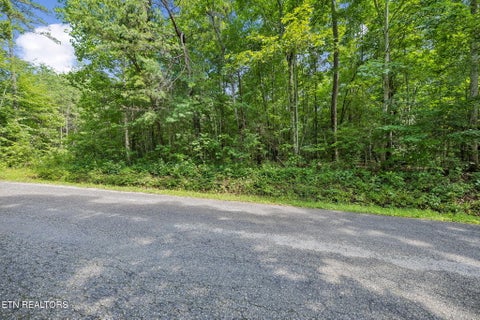 Tiny photo for Ridge Rd, Lancing, TN 37770 (MLS # 1347855)