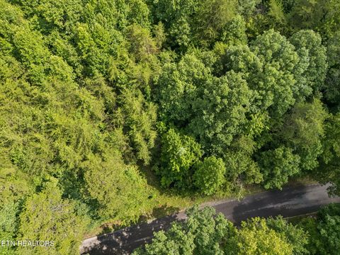 Tiny photo for Ridge Rd, Lancing, TN 37770 (MLS # 1347855)