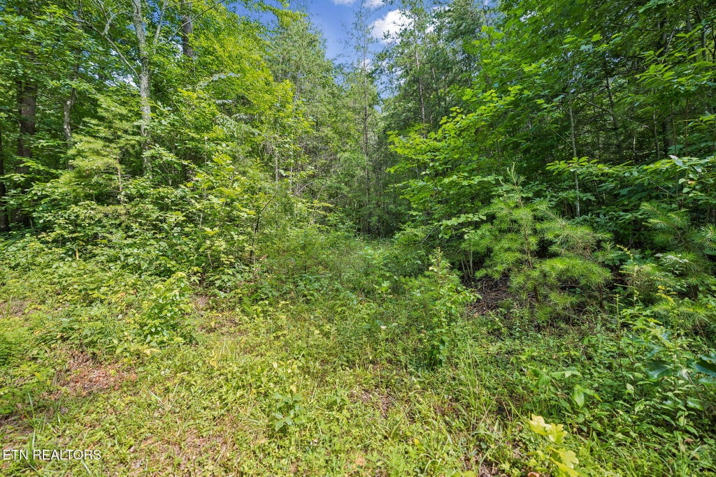 Photo of Ridge Rd, Lancing, TN 37770 (MLS # 1347855)