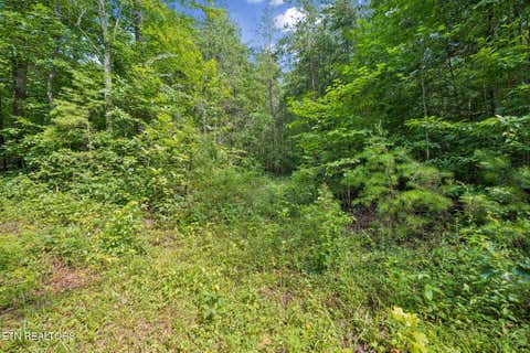 Tiny photo for Ridge Rd, Lancing, TN 37770 (MLS # 1347855)