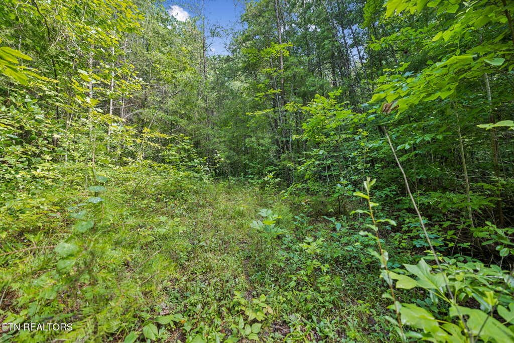 Photo of Ridge Rd, Lancing, TN 37770 (MLS # 1347855)