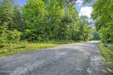 Tiny photo for Ridge Rd, Lancing, TN 37770 (MLS # 1347855)