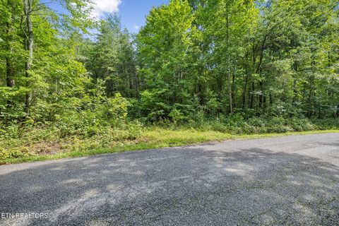 Tiny photo for Ridge Rd, Lancing, TN 37770 (MLS # 1347855)