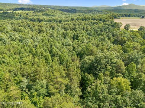 Tiny photo for Ridge Rd, Lancing, TN 37770 (MLS # 1347855)